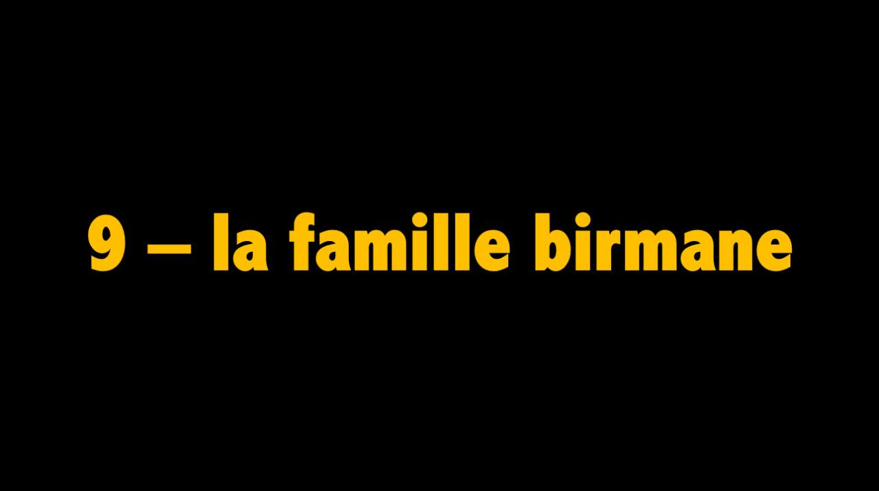 09 La famille birmane