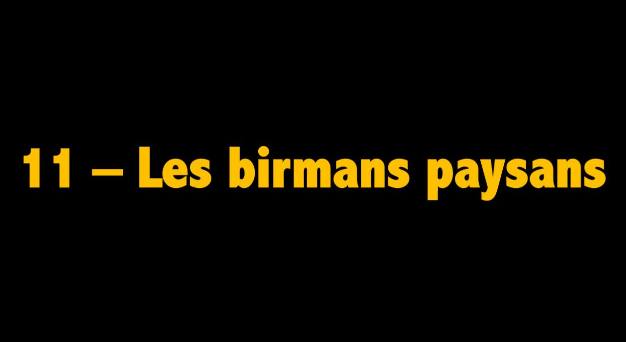 11 Les birmanes paysans