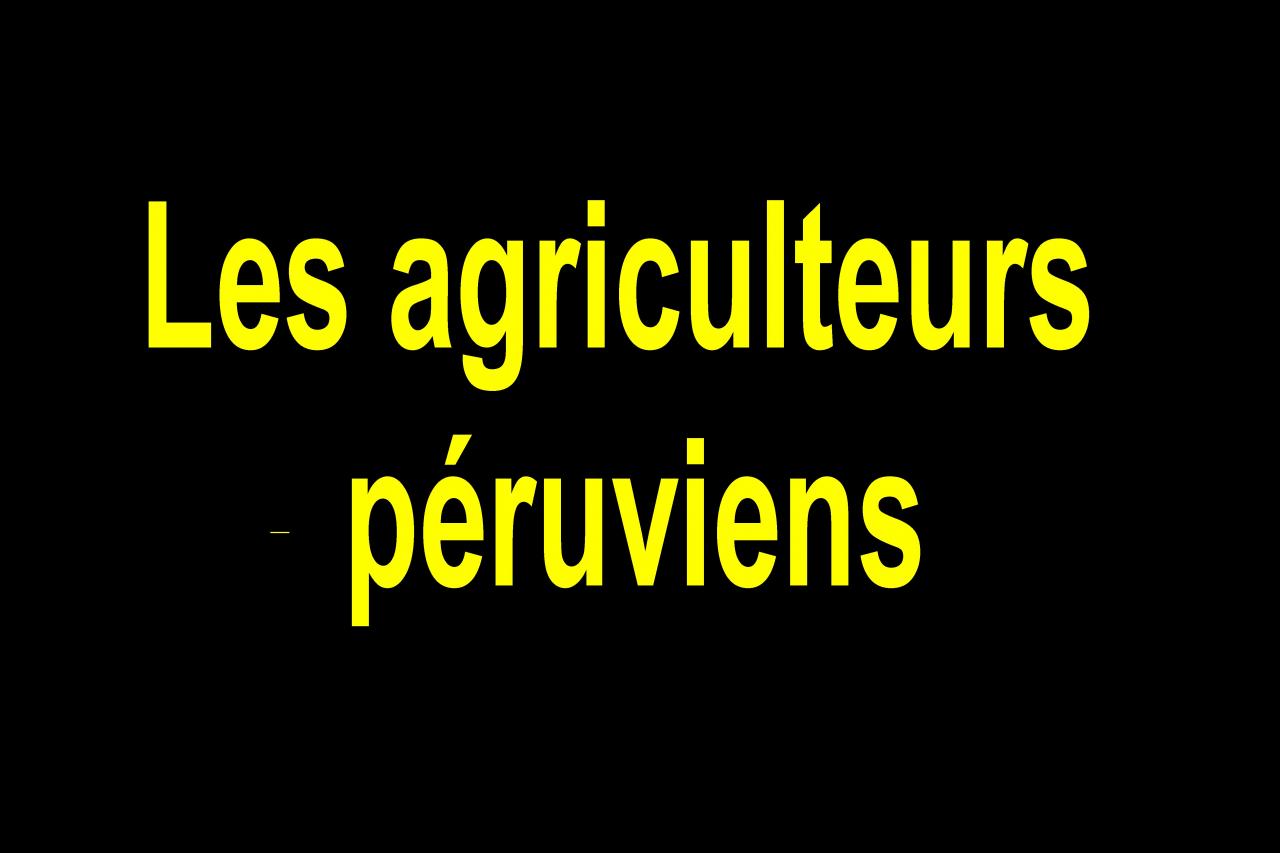 ALes agriculteurs péruviens