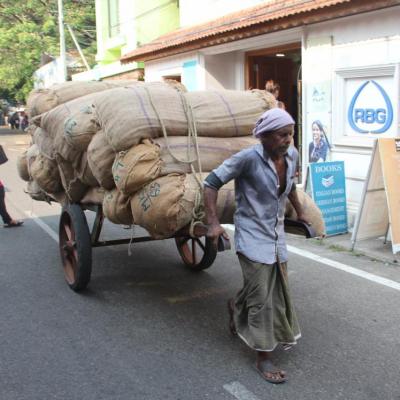 Les indiens (Inde du sud)