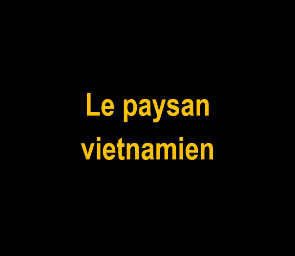 _Le paysan vietnamien