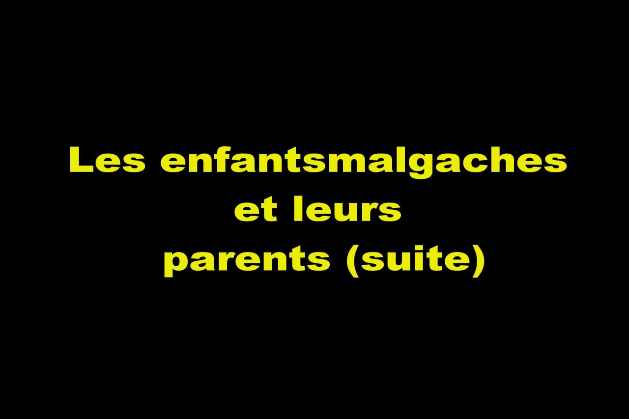 Les enfants malgaches et leurs parents (suite)