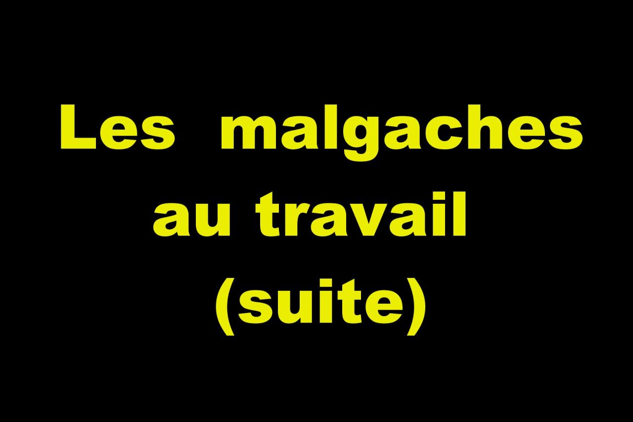 Les malgaches au travail (suite)