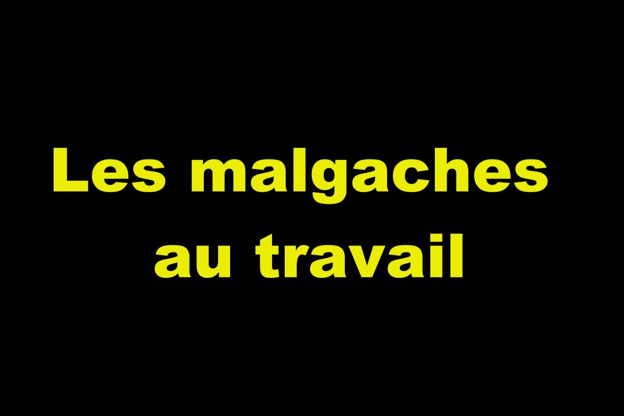 _Les malgaches au travail